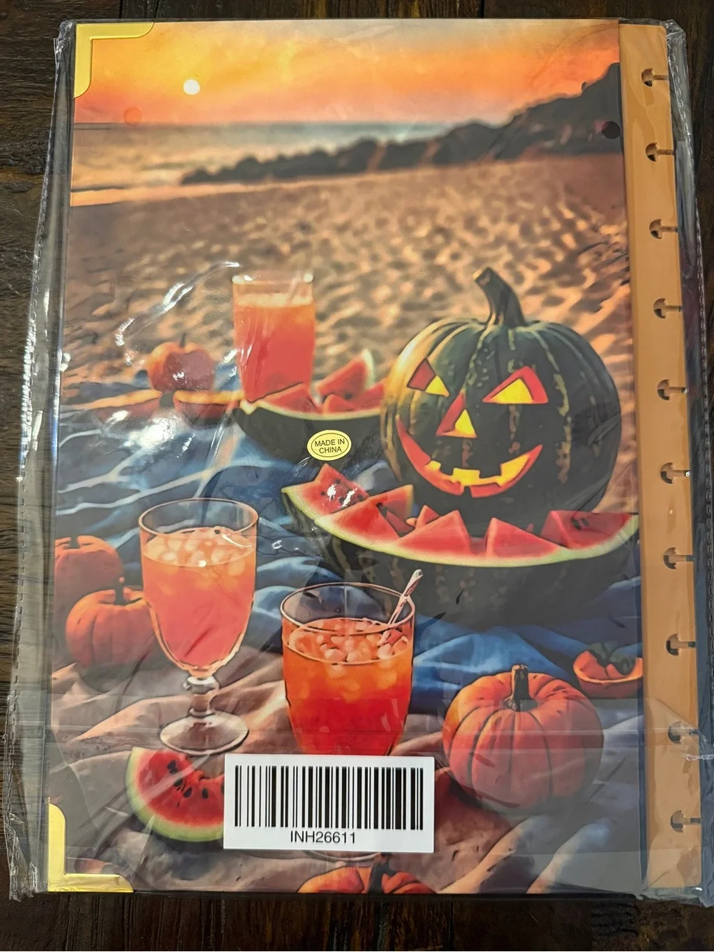 Brand New The Daily Grind Summerween Halloween Planner Cover and Dividers